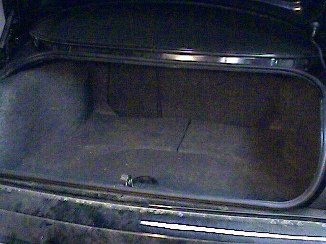This is what I started with......just a plain trunk.