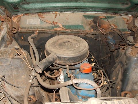 1966 Ford Ranchero - The engine bay shows signs of age and disuse, with rust and fallen leaves obscuring some components.