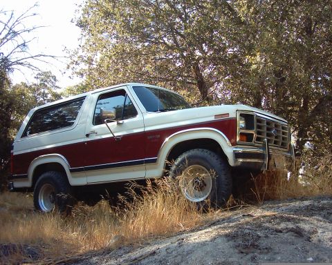 1986 Ford Bronco photo
