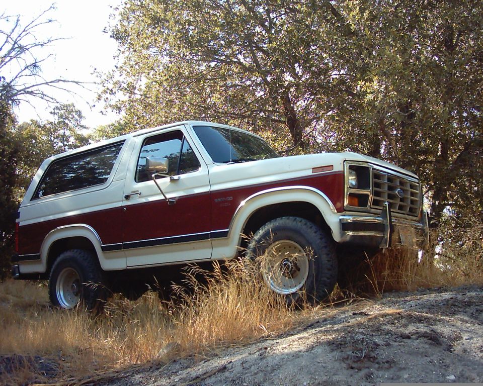 1986 Ford Bronco “The truck”