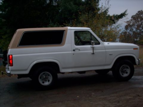 1986 Ford Bronco photo