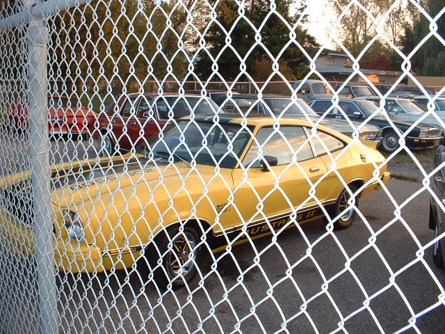 1978 Ford Mustang II coupe, yellow with black stripe, parked behind a fence. Other cars visible in background