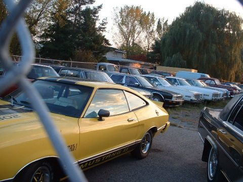 1978 Ford Mustang II - Yellow 1978 Ford Mustang II Mach 1 coupe with black stripe and side trim, parked in a lot with other vehicles.