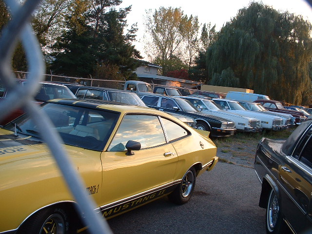 Yellow 1978 Ford Mustang II Mach 1 coupe with black stripe, parked in lot