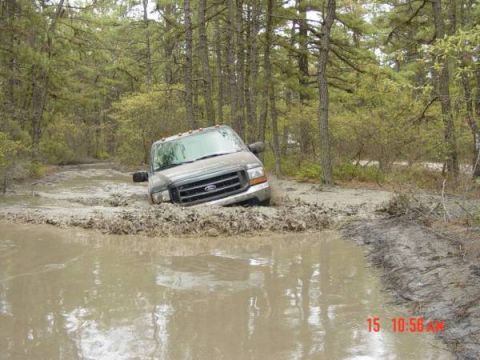 2005 Dodge 1500 - A gray Ford F-Series truck is stuck in a muddy, wooded area, with water covering the front of the vehicle.