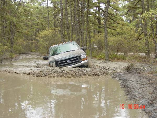 Gray Ford F-Series truck stuck in muddy water, front grille visible, trees in background