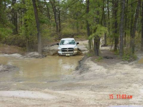 2005 Dodge 1500 - A white 2005 Dodge 1500 navigates a muddy trail in a wooded area, demonstrating its off-road capability.