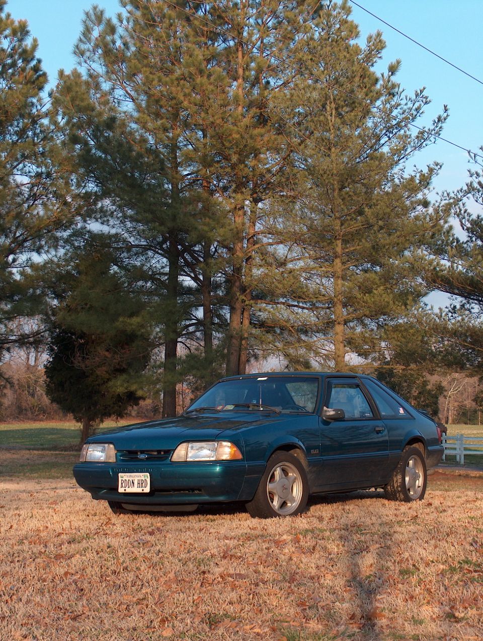 1993 Ford Mustang “Stang”