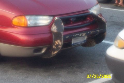 1998 Ford Crown Victoria - Front view of a 1998 Ford Crown Victoria with a custom bumper guard.
