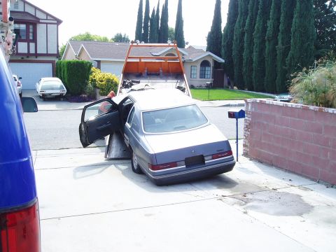 1986 Ford Thunderbird photo