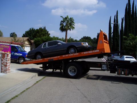 1986 Ford Thunderbird photo