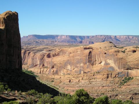 1993 Ford Bronco - A vast desert landscape unfolds under a clear blue sky, layered rock formations and sparse vegetation.