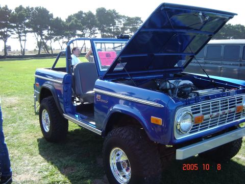 1993 Ford Bronco - A blue Ford Bronco is parked on grass with its hood open, revealing the engine bay.