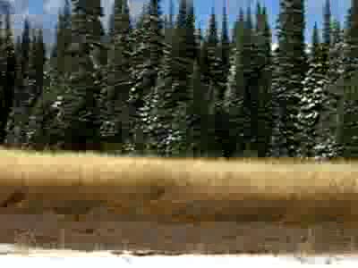 1990 Ford Bronco - Video of the mud hole on the trail. Friend's wife cut my shot short, but oh well