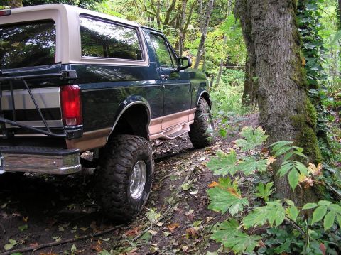 1995 Ford Bronco - Lifted 1995 Ford Bronco navigating a wooded trail.