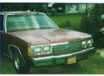 1994 Ford Crown Victoria - Front view of a brown 1980s Ford Crown Victoria parked in a grassy area.