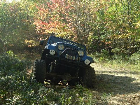 1982 Ford Bronco - Blue Jeep navigating an off-road trail during autumn. Text on windshield reads 'For Truth with God's Call'.