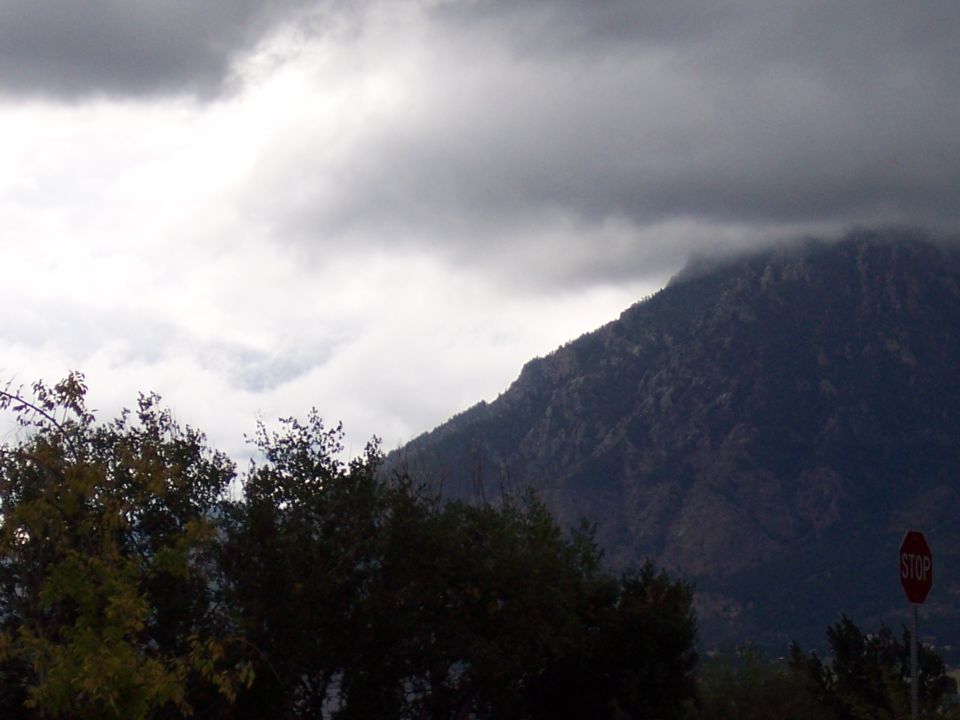Stop sign against a dark, cloudy sky and a tree line