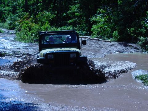 1989 Ford Bronco - Jeep likes to play.