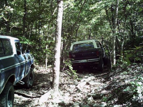 1986 Ford Bronco - Two 4x4 vehicles navigate a rough, wooded trail with fallen logs and dense foliage.