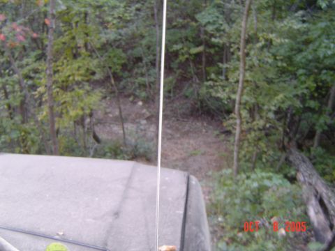 1986 Ford Bronco - A view from inside a vehicle shows the hood and antenna against a backdrop of trees and a dirt path.