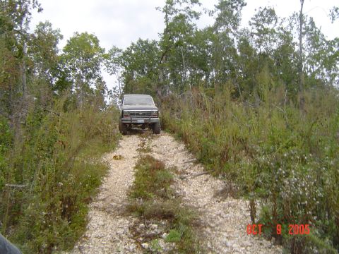 1986 Ford Bronco - A 1986 Ford Bronco navigates a rough, wooded path on a cloudy day.