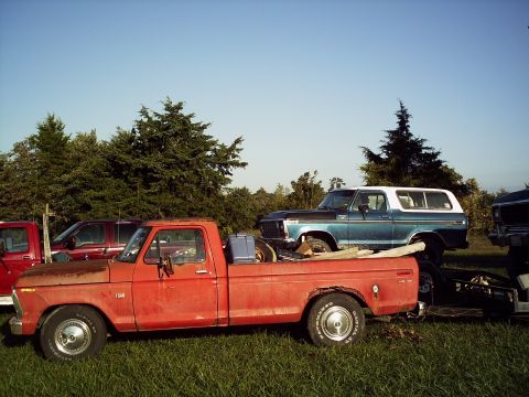 1986 Ford Bronco - A blue and white Ford Bronco is parked in a grassy lot next to a red pickup truck under a clear blue sky.