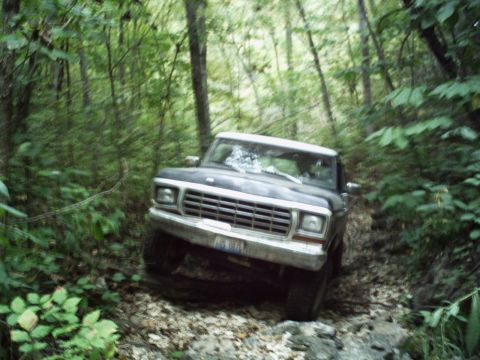 1986 Ford Bronco - Ford Bronco driving off-road through a forest trail.