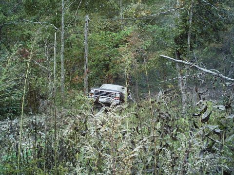 1986 Ford Bronco - A truck is partially obscured by foliage while parked on an incline in a wooded area.