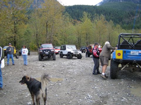 1990 Ford Bronco - Several off-road vehicles are parked in a gravel lot surrounded by trees, with people and a dog present.