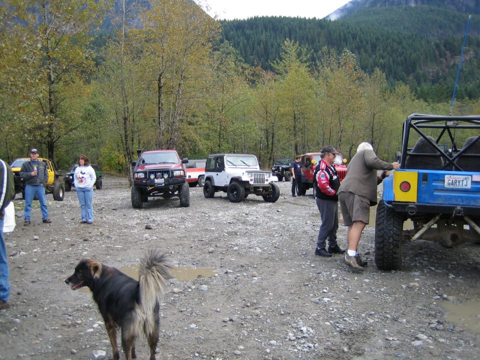 Off-road vehicles gathered in a wooded area with people and a dog