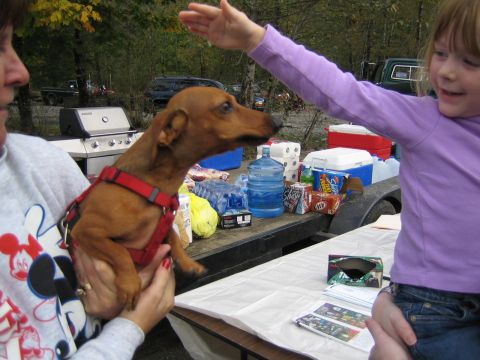 1990 Ford Bronco - A dog is held by a person next to a trailer loaded with supplies, with vehicles visible in the background.