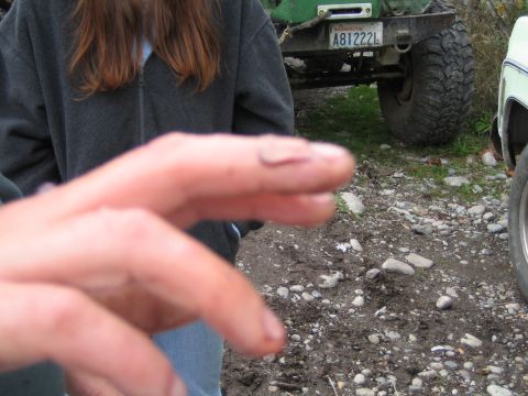 1990 Ford Bronco - A close-up of a person's hand is in the foreground, with two off-road vehicles in the background.