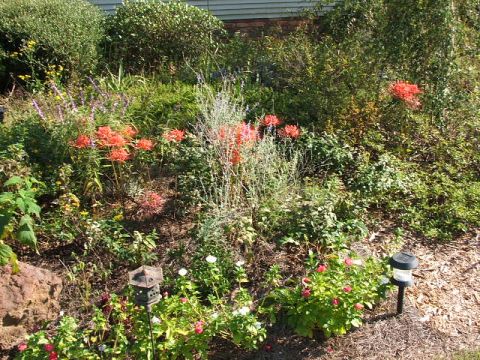 1966 Ford Ranchero - A lush garden scene features vibrant flowers, a decorative birdhouse, and a solar-powered light illuminating the mulch-covered ground.