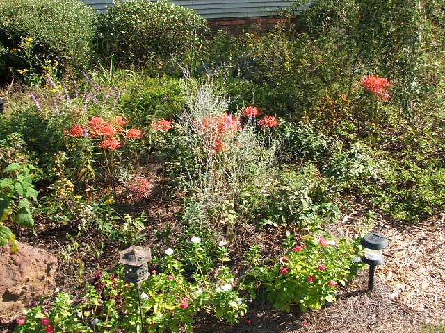 Garden with flowers, solar light, and birdhouse