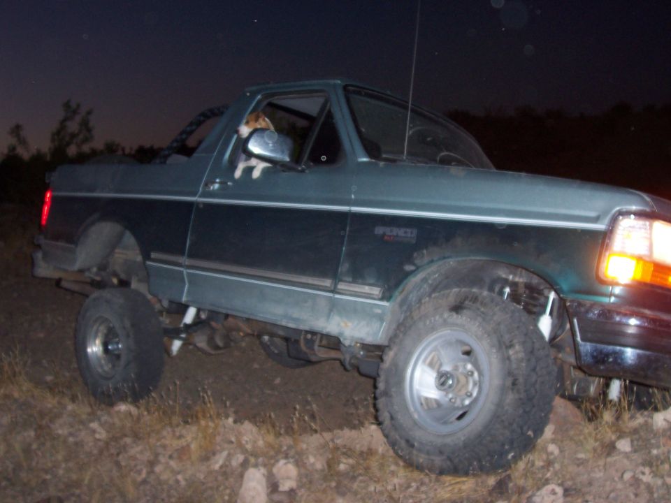 Green Ford Bronco with a dog in the driver's window, lifted suspension, off-road tires, parked on dirt
