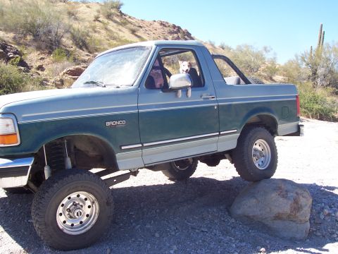 1996 Ford Bronco - A 1996 Ford Bronco, painted in a two-tone green and blue, is shown with a dog looking out the driver's window while parked on rocks.