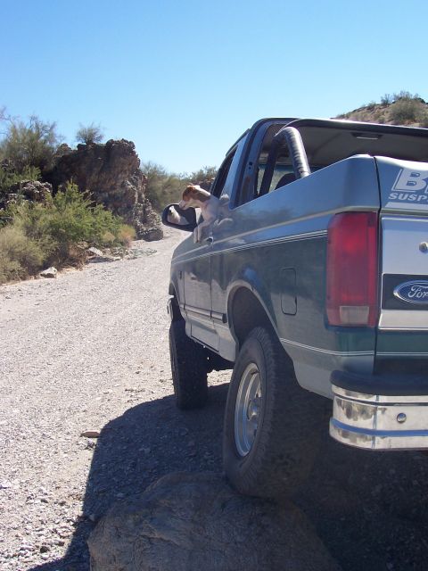 1996 Ford Bronco - 1996 Ford Bronco on a dirt road, dog looking out the window.