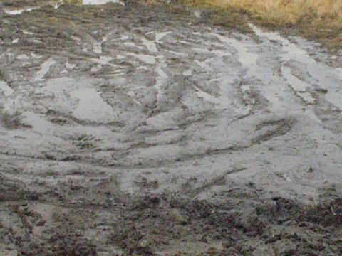 1981 Ford Bronco - the base of the hill that I slid down sideways on the way down.
