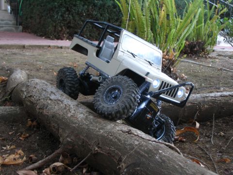 1993 Toyota 4Runner - flexing...