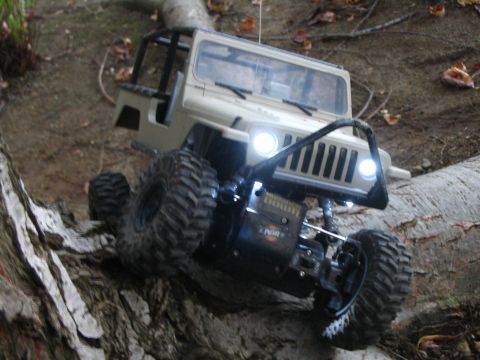 1993 Toyota 4Runner - up on a tree...