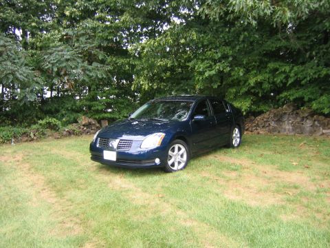 2005 Nissan Maxima - A dark blue sedan is parked on a grassy lawn with trees and a stone wall in the background.
