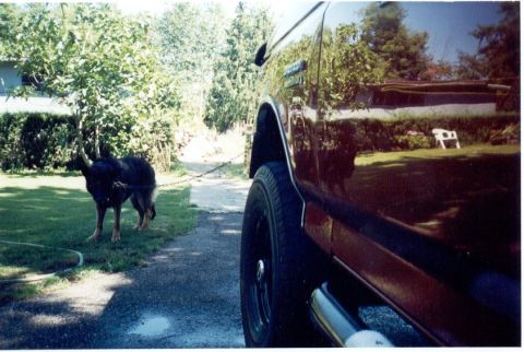 1989 Ford Bronco - after buffing out a few runs