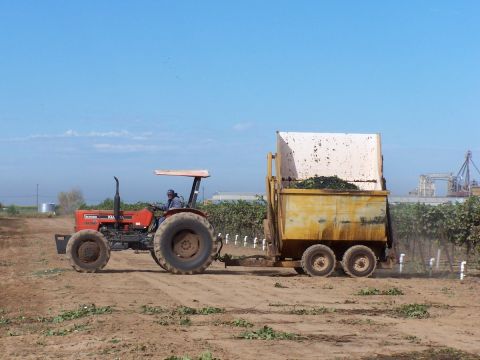 1979 Ford Bronco - Tractor and trailer working in a field under a clear blue sky.
