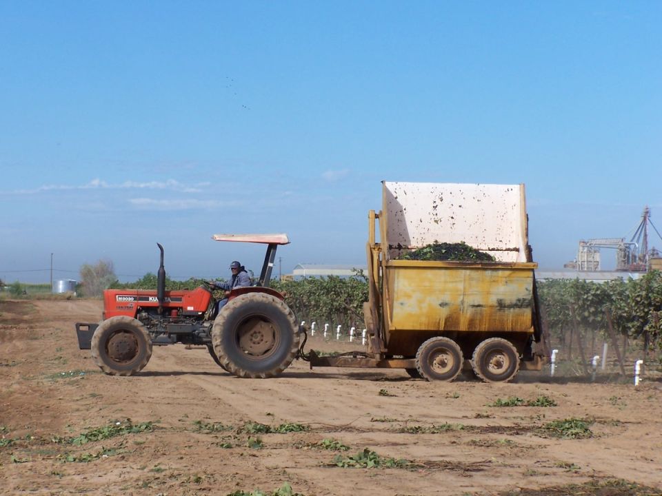 Tractor with a canopy pulling a large yellow trailer filled with debris. A person is driving the tractor