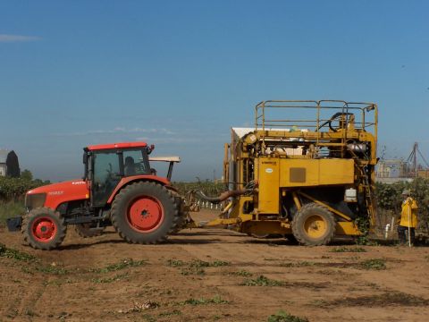 1979 Ford Bronco - A red tractor tows a large yellow harvesting machine through a field under a clear blue sky.