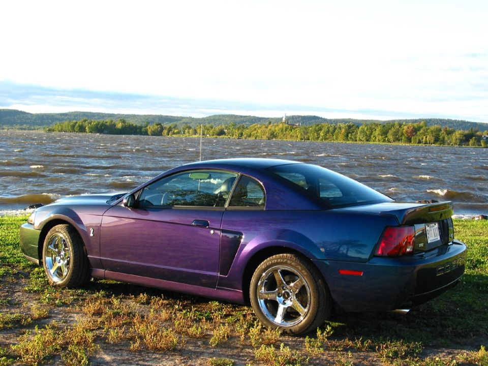 2004 Ford Mustang “The Pretty Car”