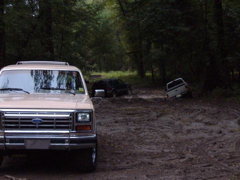 1984 Ford Bronco photo