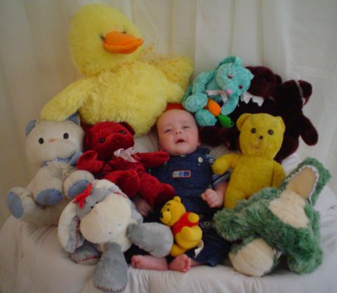 1981 Ford Bronco - A baby is surrounded by a collection of stuffed animals, including a large yellow duck and several teddy bears.