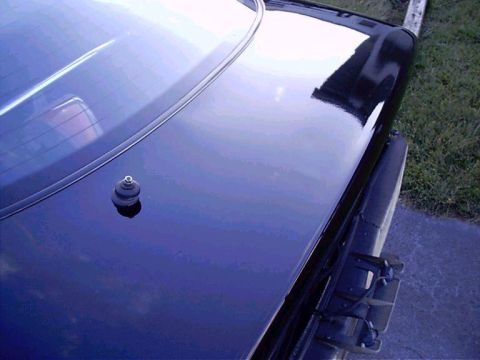 1994 Ford Probe - Close-up view of the rear deck of a dark blue vehicle, showing the antenna and rear window.